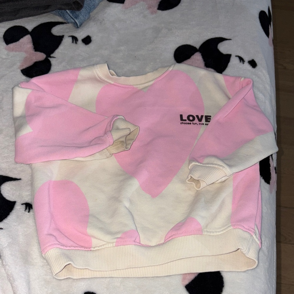Zara Pink and Cream Sweatshirt